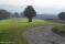 tn_view
