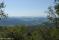 tn_view