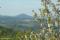 tn_view