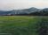 tn_view