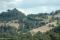 tn_view