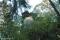 tn_view
