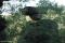 tn_view