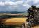tn_view