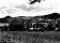 tn_view