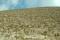 tn_view