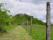 tn_view