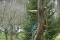 tn_view