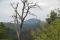 tn_view