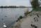 tn_view