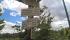 tn_view