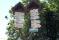 tn_view